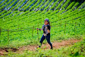 BIB: 
                            <button type="button" onclick="openModal(19163517)" class="btn btn-primary btn-sm float-right btn-popup" data-toggle="modal" data-target=".modal-high-quality">
                        <i class="fas fa-shopping-cart"></i> Add to Cart
                    </button>
                                            <button type="button" onclick="isThisMe(19163517, true)" class="btn btn-success btn-sm float-right btn-popup btn-isme hidden" data-toggle="tooltip" data-placement="bottom" title="นี่คือรูปของคุณใช่ไหม คลิกที่นี่เพื่อเอาเข้าอัลบั้ม">
                        <i class="fas fa-plus"></i> Add to album
                    </button>
                    <button type="button" onclick="isThisMe(19163517, false)" class="btn btn-warning btn-sm float-right btn-popup btn-isnotme hidden">
                        <i class="fas fa-ban"></i> Remove from album
                    </button>